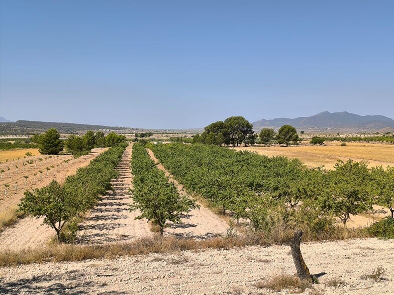 Terreno en MONÒVER, Alicante en venta - Foto principal - Imagen 2 de 6