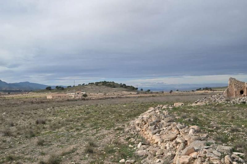 Terreno en Jumilla en venta - Foto del edificio - Imagen 2 de 8