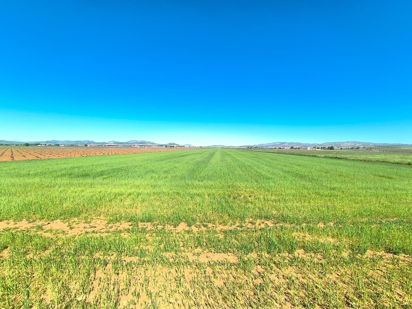 Terreno en Yecla, Murcia en venta Vista aérea- Imagen 1 de 4