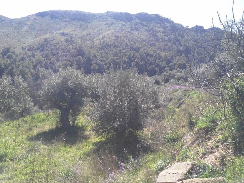 Terreno en Calasparra en venta - Foto del edificio - Imagen 3 de 10