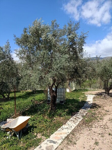 Terreno en Fondón en venta - Foto del edificio - Imagen 3 de 11