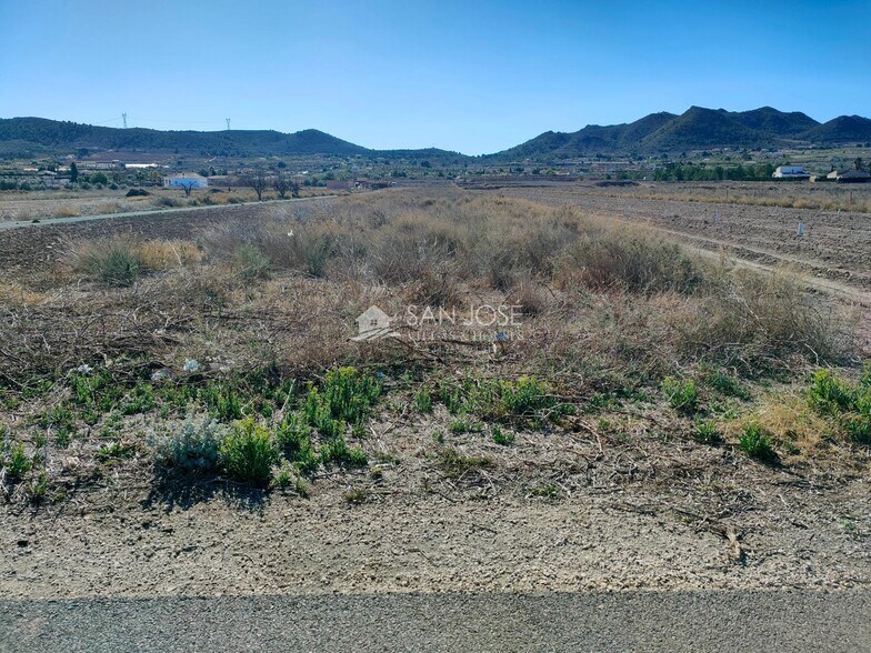Terreno en Hondón de los Frailes en venta - Foto del edificio - Imagen 3 de 4