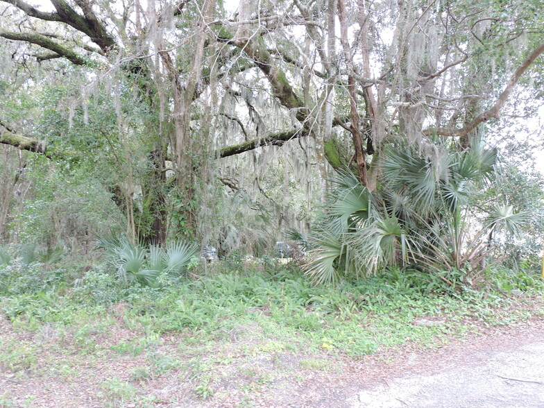 2008 Nickerson Ln, Jacksonville, FL en venta - Foto principal - Imagen 1 de 22