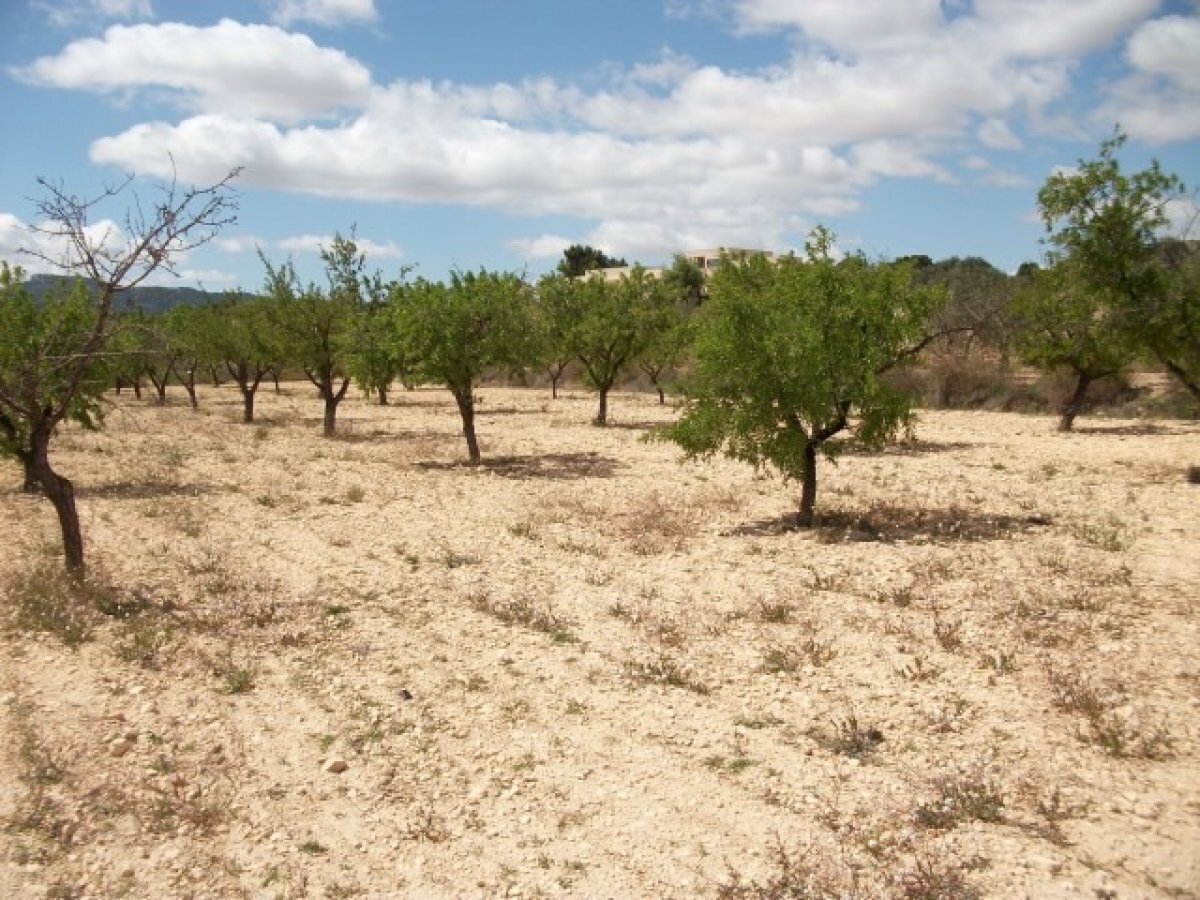 Terreno en MONÒVER, Alicante en venta Plano del sitio- Imagen 1 de 4