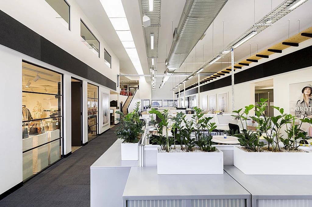 56 Victoria St, McMahons Point en alquiler Foto del interior- Imagen 1 de 8