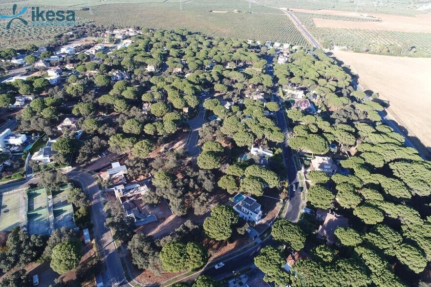 Terreno en Bollullos de la Mitación en venta - Foto del edificio - Imagen 2 de 9