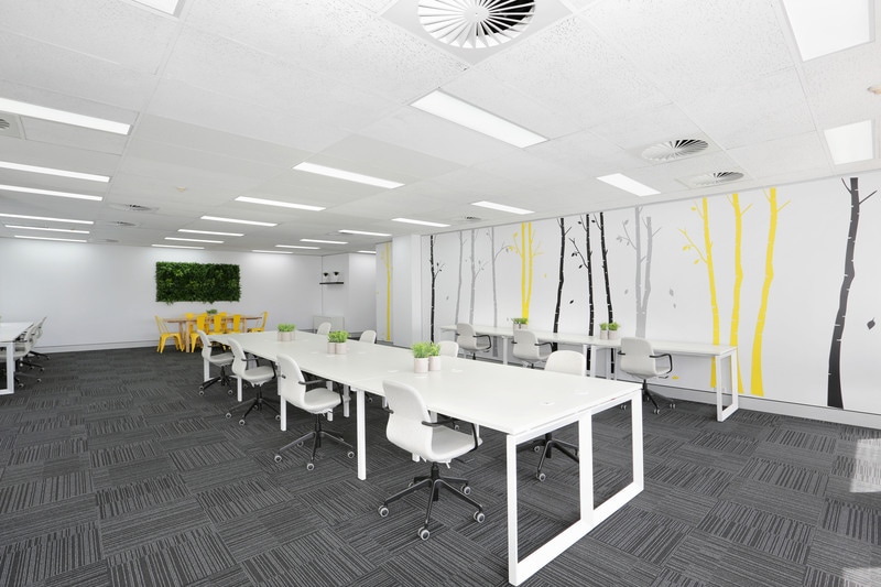 275 Alfred St, North Sydney en alquiler Foto del interior- Imagen 1 de 4