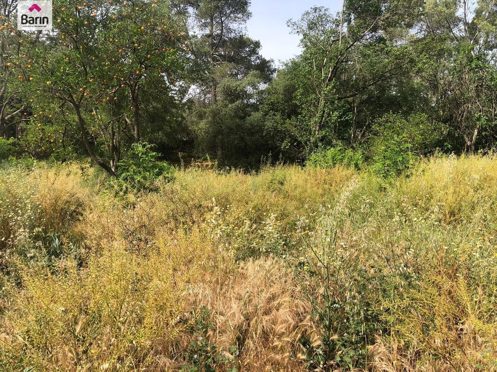 Terreno en Córdoba, Córdoba en venta Foto principal- Imagen 1 de 2