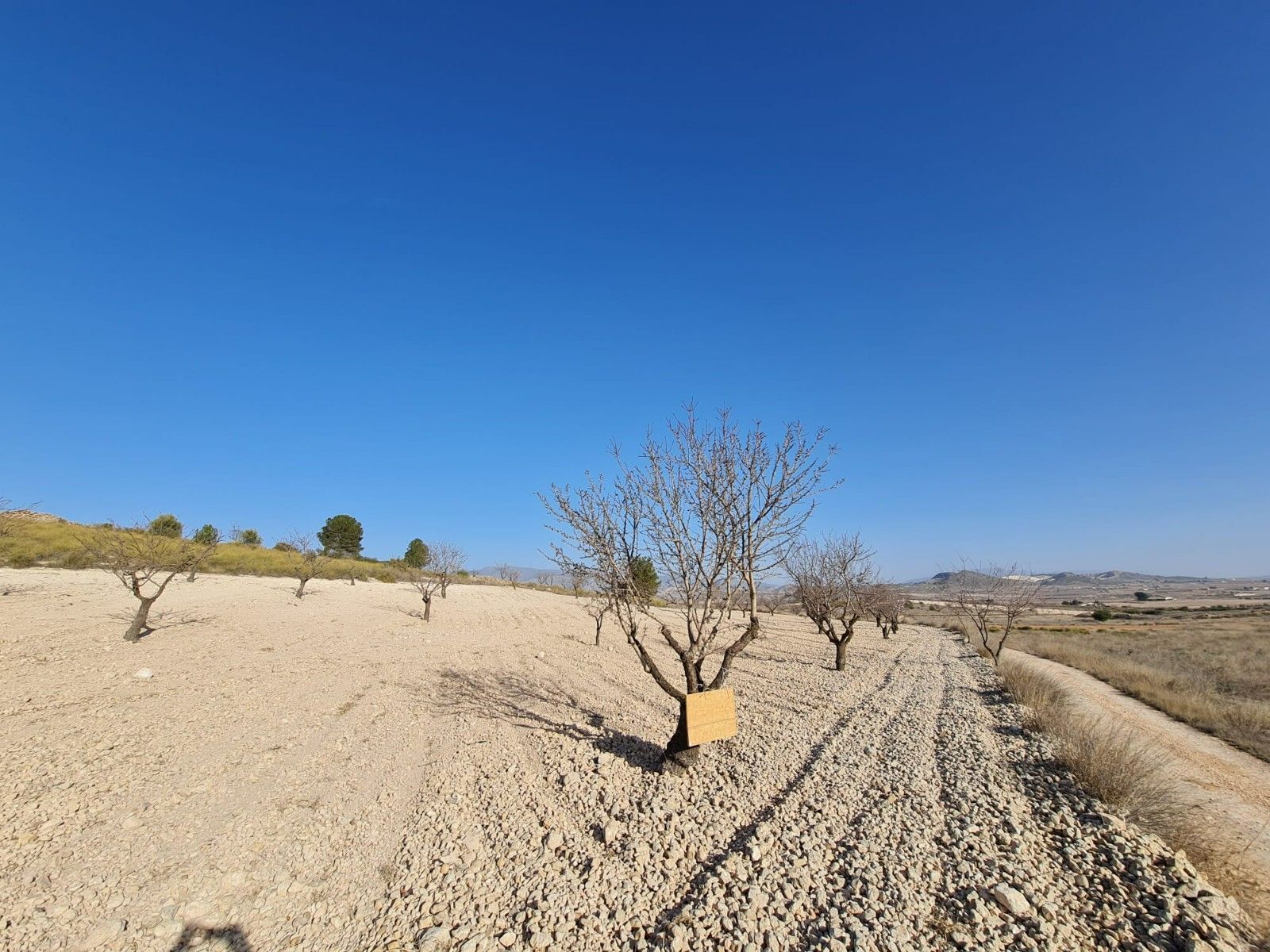 Terreno en Abanilla, Murcia en venta Foto principal- Imagen 1 de 13