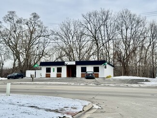 Más detalles para 314 Arlington St, Middleville, MI - Locales en venta