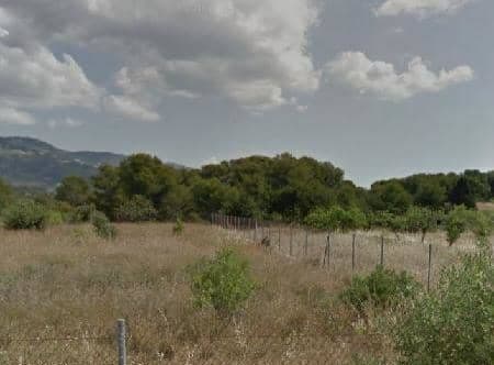 Alcocebre Polígono, 262, Alcalà de Xivert, Castellón en venta Foto del edificio- Imagen 1 de 4