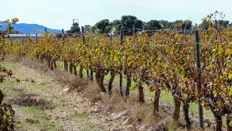 Pocido, La Font de la Figuera, Valencia en venta - Foto del edificio - Imagen 3 de 21