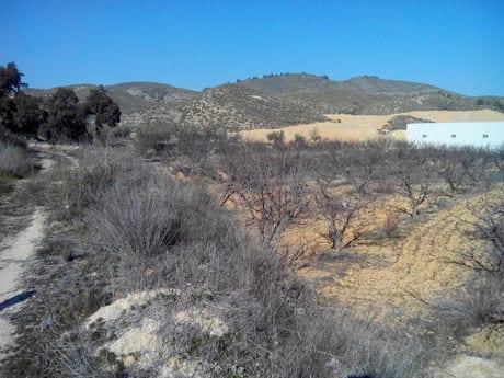 Terreno en Cehegín, Murcia en venta - Plano del sitio - Imagen 3 de 8