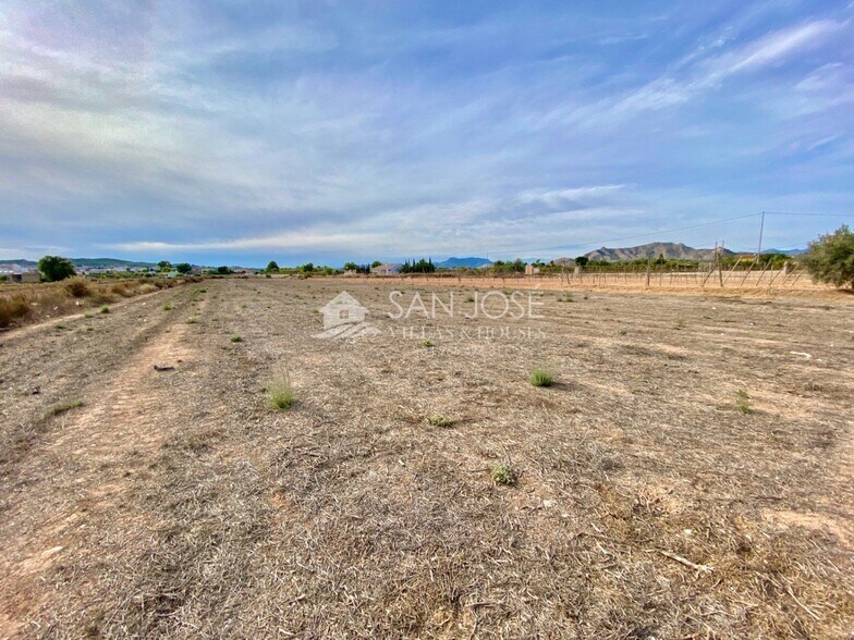 Terreno en Aspe, Alicante en venta - Vista aérea - Imagen 2 de 5