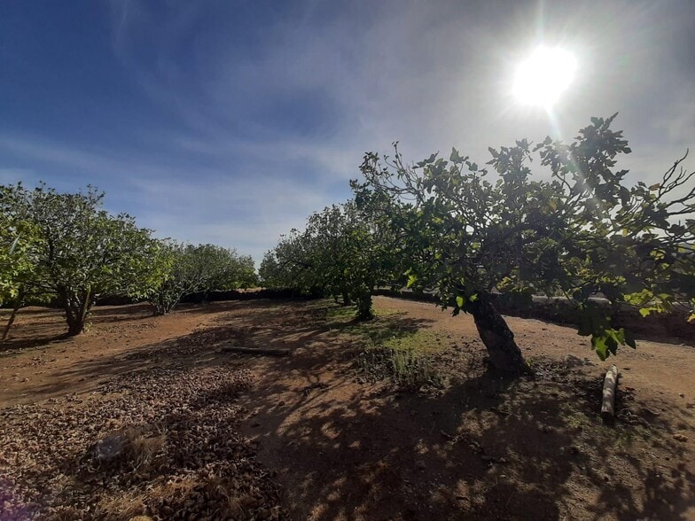 el Pozo Pardo, Torre de Santa María, Cáceres en venta - Foto principal - Imagen 1 de 16