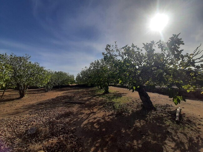 Más detalles de el Pozo Pardo, Torre de Santa María - Terreno en venta