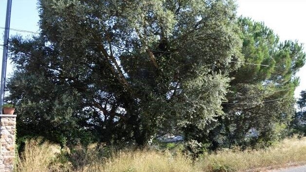 Más detalles de Terreno en venta