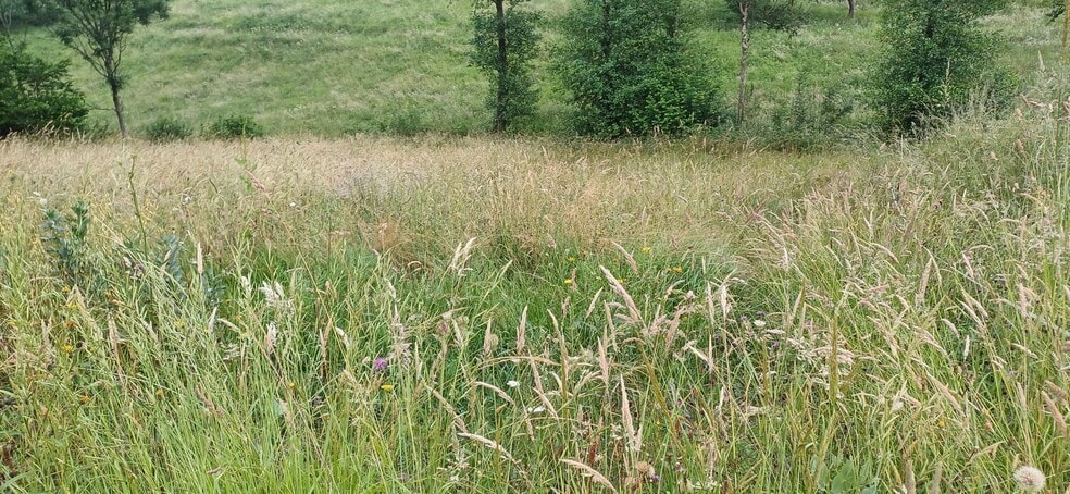 Barrio Illas, S/N, Illas, Asturias en venta - Foto del edificio - Imagen 2 de 8