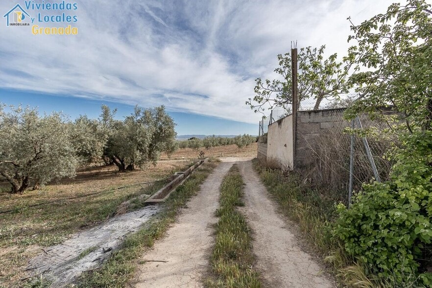 Pago de, Albolote, Granada en venta - Foto del edificio - Imagen 3 de 14