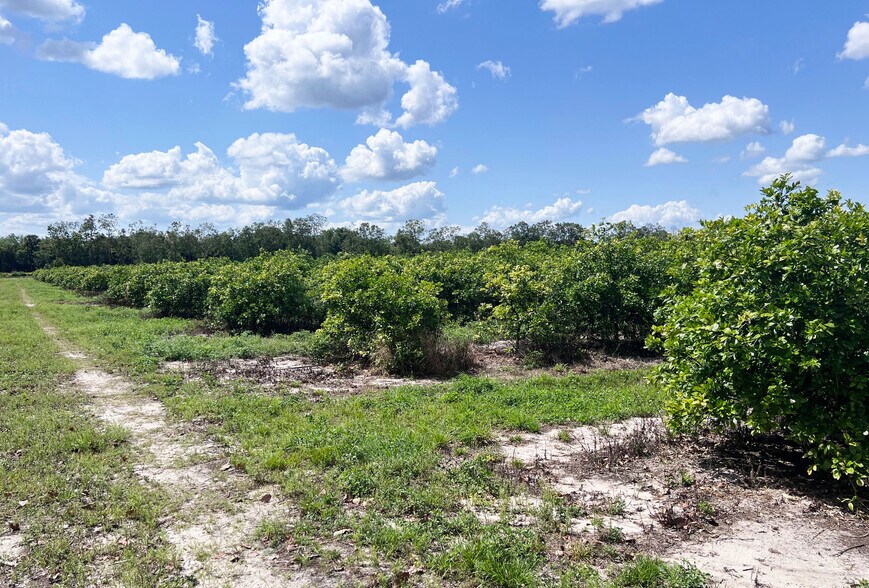 ORANGE AVENUE EXTENSION Ave, Fort Pierce, FL en venta - Otros - Imagen 3 de 6