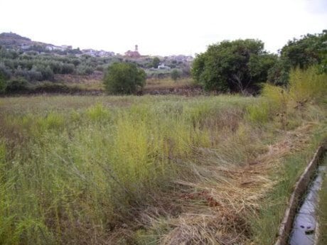 Terreno en Calasparra, Murcia en venta Plano del sitio- Imagen 1 de 13