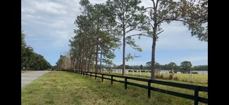 Más detalles para 3406 Lake Diane Rd, Tavares, FL - Terrenos en venta