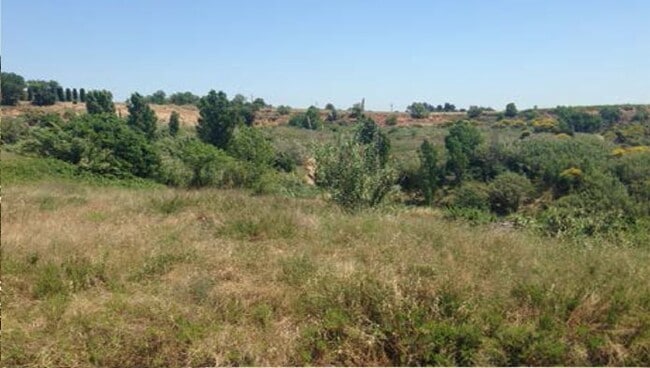 Más detalles de Terreno en venta