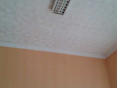 Local en SEVILLA en alquiler - Foto del interior - Imagen 3 de 3