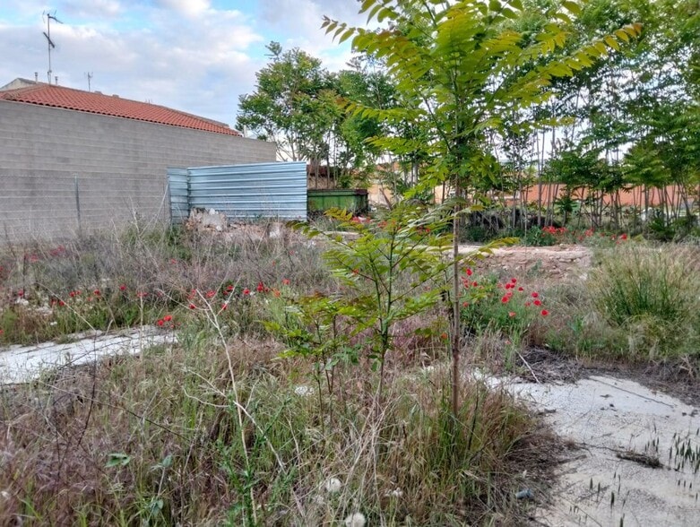 Terreno en Lillo, Toledo en venta - Otros - Imagen 3 de 5