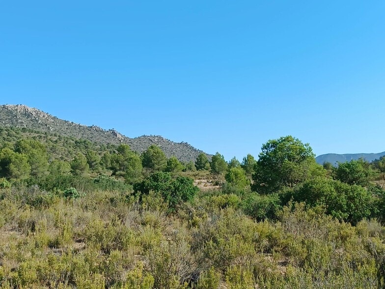 Terreno en Yecla, Murcia en venta - Vista aérea - Imagen 2 de 2