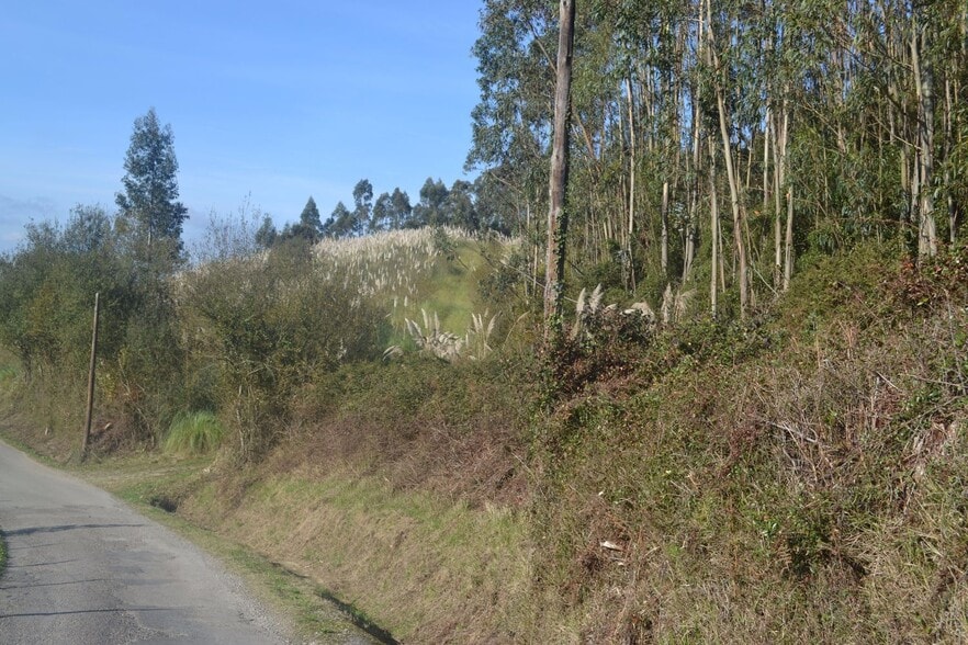 Puga, Llanera, Asturias en venta - Vista aérea - Imagen 1 de 40