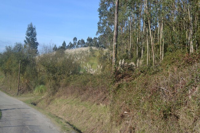 Más detalles de Puga, Llanera - Terreno en venta