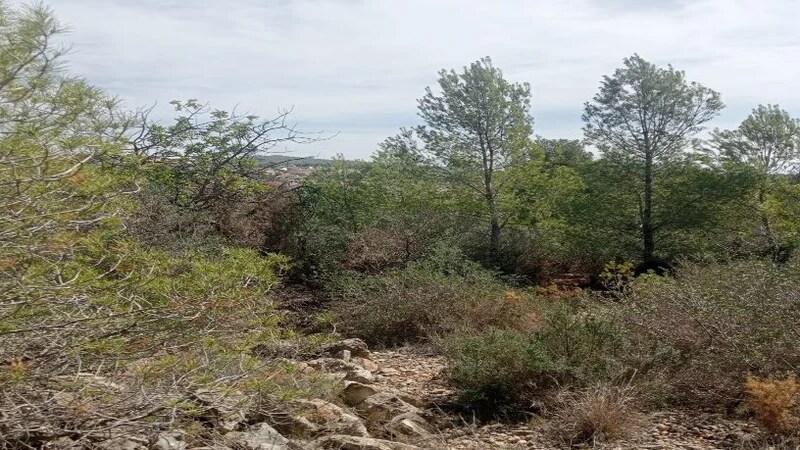 Terreno en El Vendrell, Tarragona en venta - Foto principal - Imagen 2 de 6