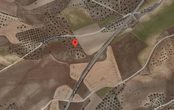 Más detalles de Camino Oliva, s/n, Ciempozuelos - Terreno en venta
