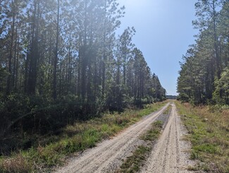 Más detalles para US HWY 90 hwy, Sanderson, FL - Terrenos en venta