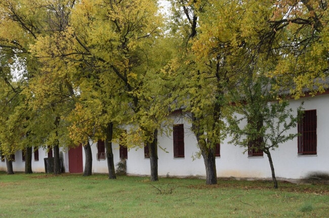 Más detalles de Nave en venta