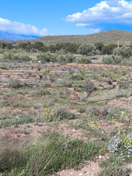 Terreno en Alboloduy en venta - Vista aérea - Imagen 2 de 9