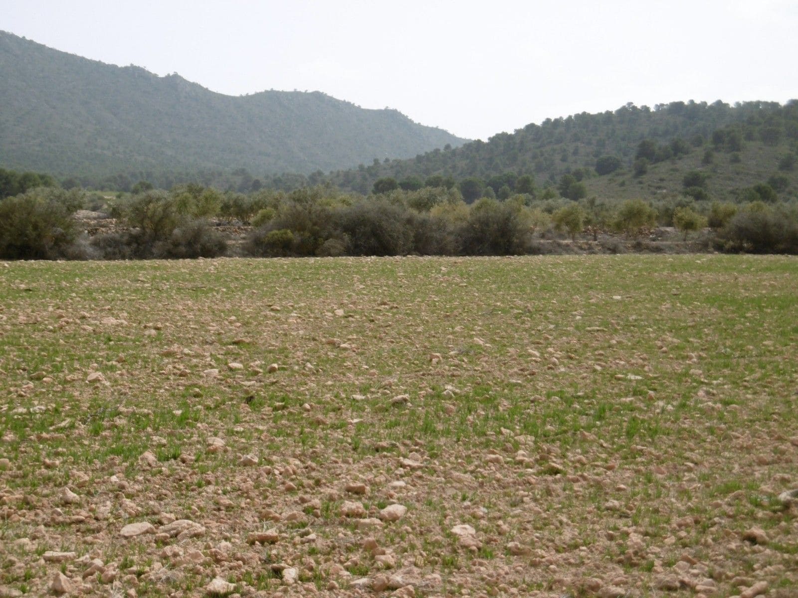 Terreno en Yecla, Murcia en venta Vista aérea- Imagen 1 de 4