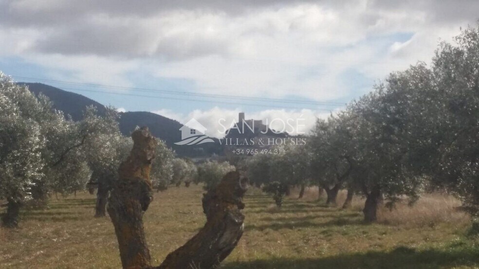 Terreno en Biar en venta - Foto del edificio - Imagen 2 de 9