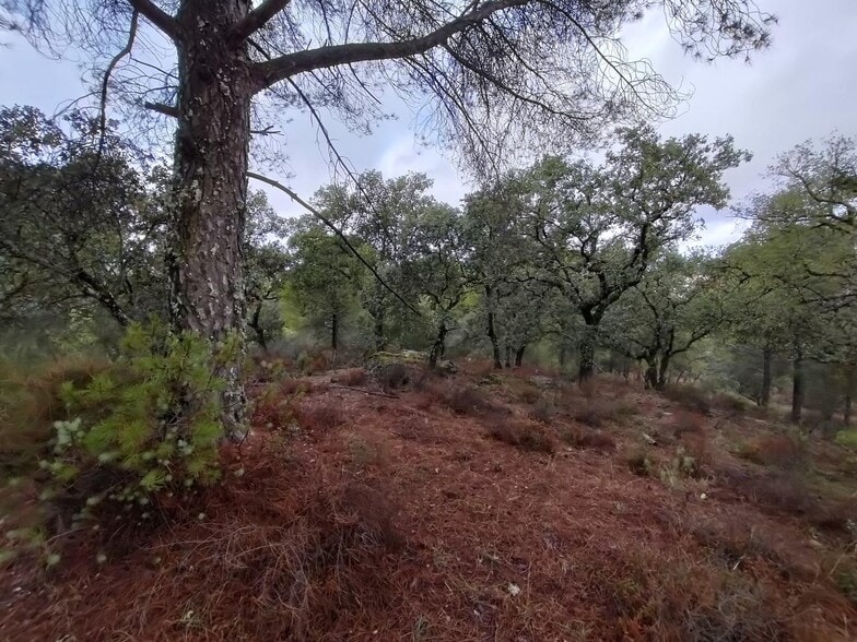 Terreno en Córdoba, Córdoba en venta - Foto del edificio - Imagen 2 de 6