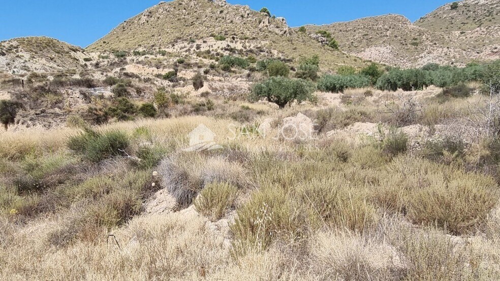 Terreno en Abanilla, Murcia en venta - Plano del sitio - Imagen 3 de 5