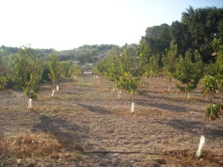 Más detalles de Terreno en venta