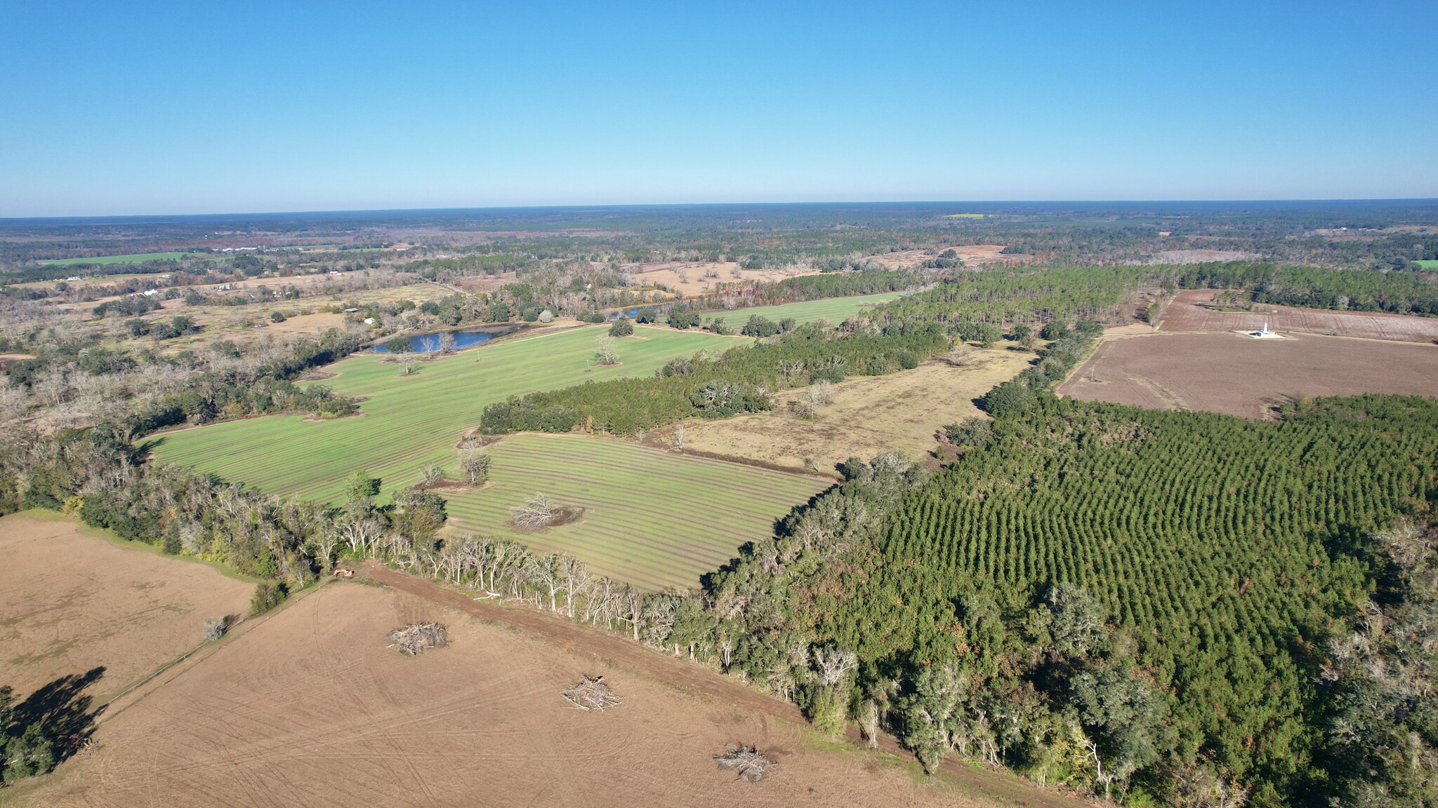 Terreno en Tallahassee, FL en venta Foto principal- Imagen 1 de 10