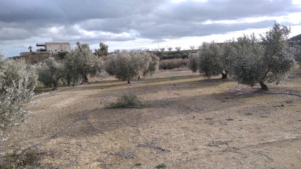 Terreno en Calasparra, Murcia en venta - Foto del edificio - Imagen 2 de 26