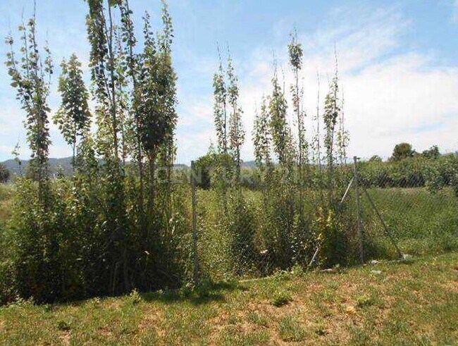 Más detalles de del, 435, Murcia - Terreno en venta