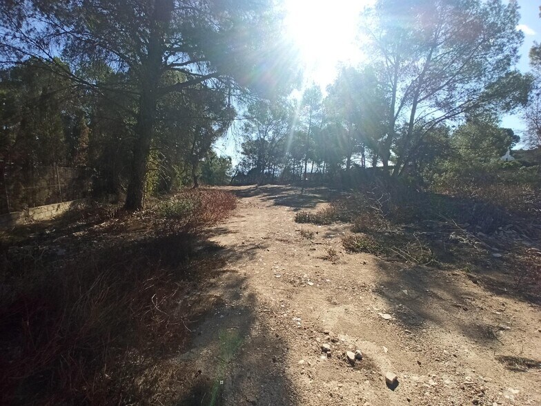 Terreno en Alberic, Valencia en venta - Foto principal - Imagen 2 de 6