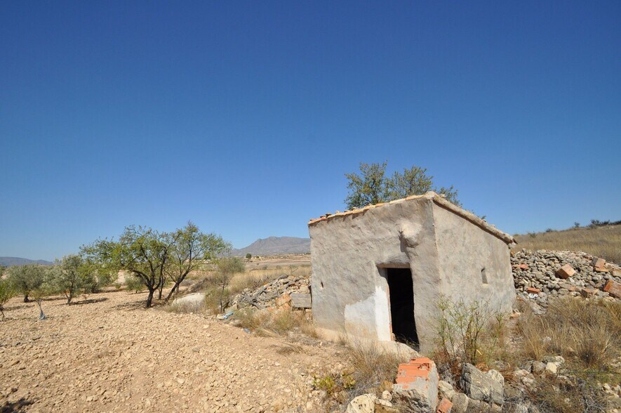 Terreno en Jumilla, Murcia en venta - Foto principal - Imagen 1 de 13