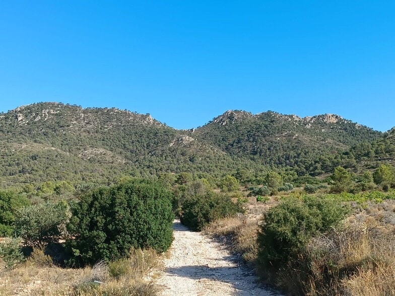 Terreno en Yecla, Murcia en venta - Vista aérea - Imagen 3 de 3