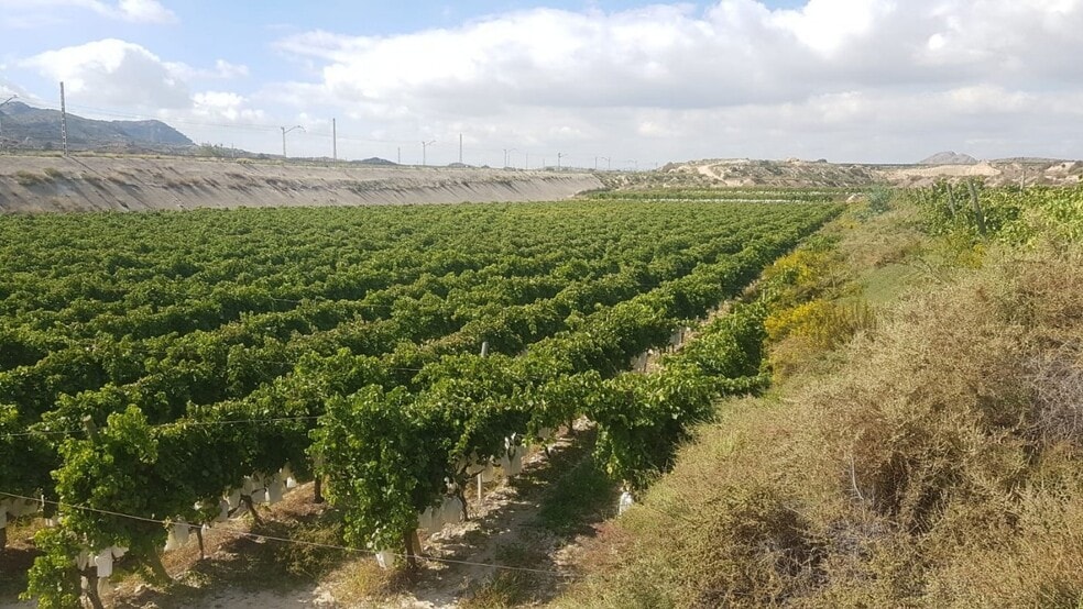 Terreno en Agost, Alicante en venta - Vista aérea - Imagen 1 de 9