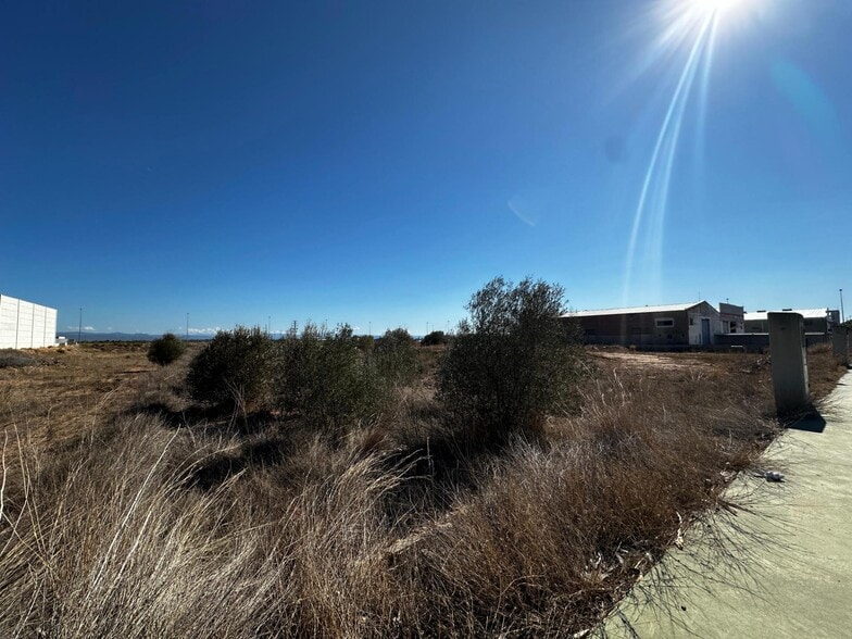 Creu Negra, Carlet, Poligono, S/N, Carlet, Valencia en venta - Foto del edificio - Imagen 3 de 5